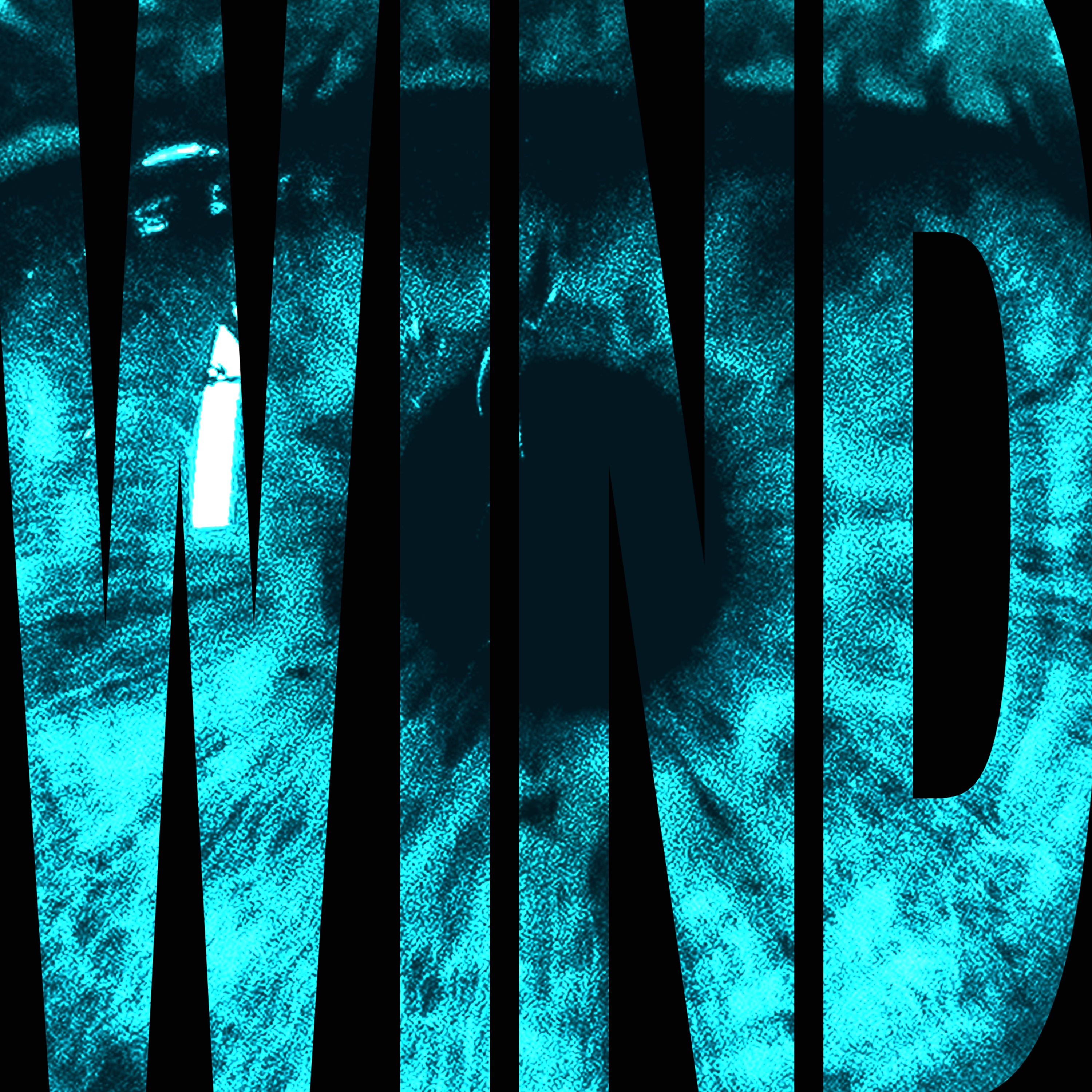 100000x100000-999.jpg