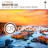 Remover 2.0 (DJ Quiz & Matt Bukovski Remix) - Single