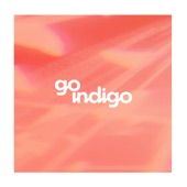 Go Indigo - Do It Again