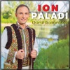 Ion Paladi - Bine Ca M-Am Insurat