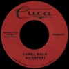 Camel Walk b/w Safari - Single