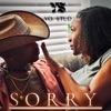 Sorry - Single