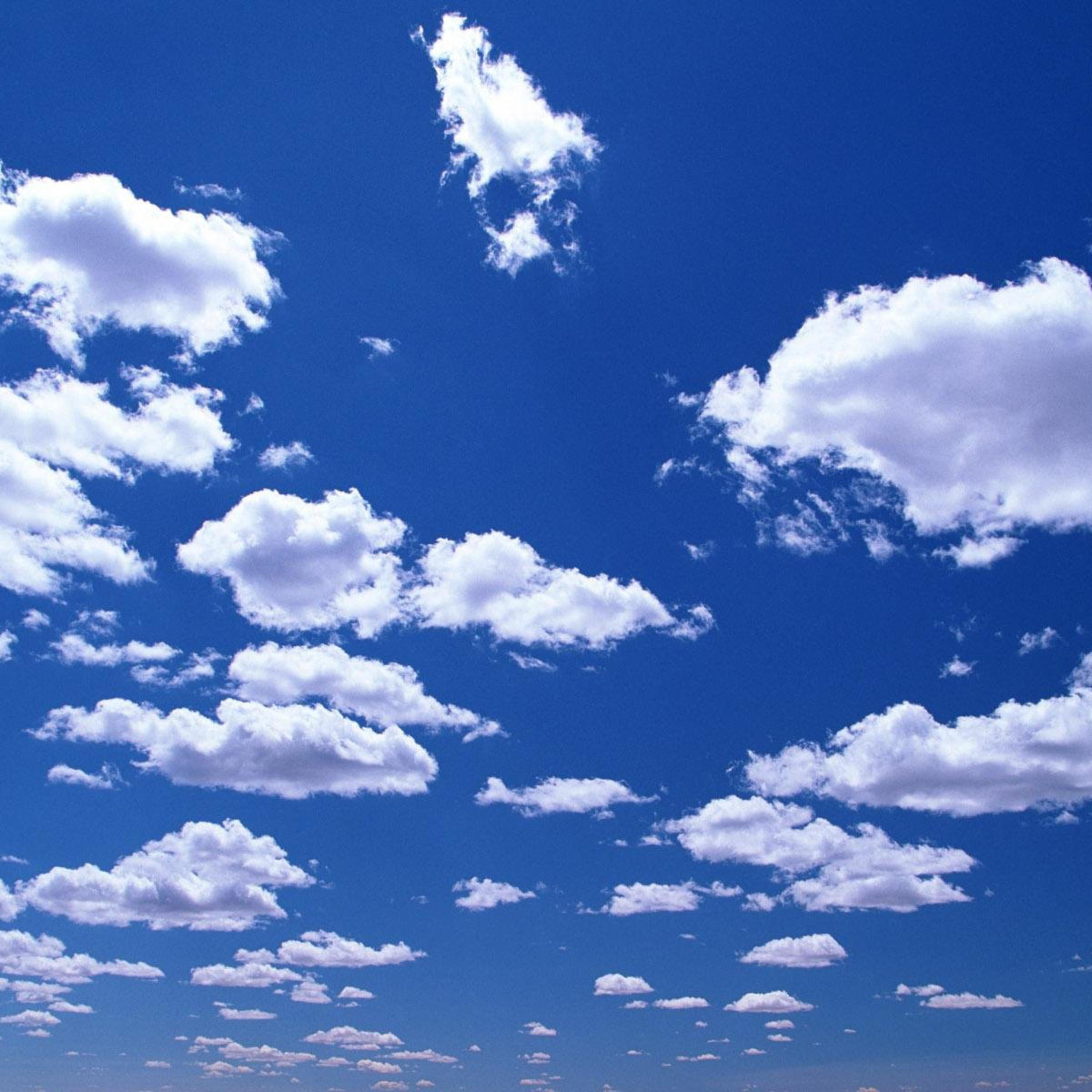 100000x100000-999.jpg