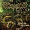Mortal Training (feat. Jason Netherton) - Single