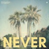 Never - Single