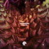 Blossomz - Single