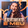 O Sentimento É Meu - Single