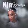 Nja Kwaabya - Single