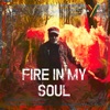 Fire In My Soul - Single