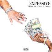 Expensive (feat. Flo Milli) by Maiya The Don, Flo Milli