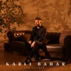 Karlı Bahar - Single