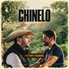 Chinelo de Prego - Single