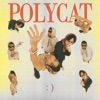 Polycat - ข้อความรูปยิ้ม :)