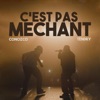 C'est pas méchant - Single