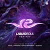 Liquid Soul Remixed - Single