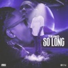 So Long - Single