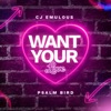 Want Your Love - Single