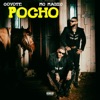 Pocho - Single