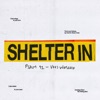 Shelter In - Single