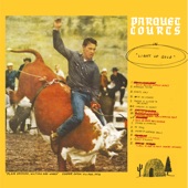 Parquet Courts - Stoned and Starving