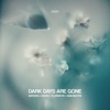 Dark Days Are Gone (feat. Sam Martin) - Single