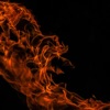 Luna Bella - Noche de Fuego
