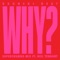 Why? (feat. Neil Tennant) [Superchumbo Edit] cover