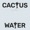 CHANNEL TRES - CACTUS WATER (LYRICS!)