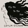 Fly Me to the Sun - Single