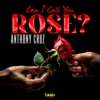 Can I Call You Rose? - Single, 2024