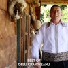 Best of Gelu Craioveanu - EP