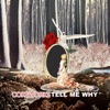 Tell Me Why - Single