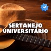 WESLEY MARTINS - Sertanejo Universitário