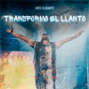 Transformo el Llanto - Single