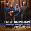 Peter Bernstein - No Problem