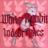 White Rabbit - Single