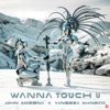 Wanna Touch U - Single