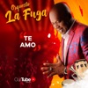 Te Amo - Single