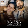 zeeshan ali - Sajna da Dil Torya (Original Motion Picture Soundtrack)