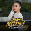 Goyang Melehoy - Single