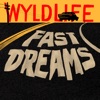 Fast Dreams - Single