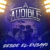 Desde el Ensayo