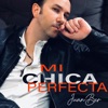 Mi Chica Perfecta - Single