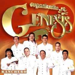 Organización Génesis - Juguete Caro