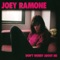 Venting (It's a Different World Today) - Joey Ramone lyrics