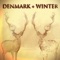 Wrapped Around Your Finger - Denmark + Winter lyrics