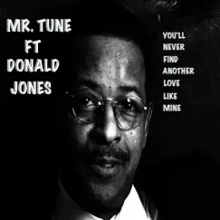 You'll Never Find Another Love Like Mine (feat. Donald Jones) - Single by Mr.Tune album reviews, ratings, credits