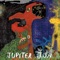 Paleolitikoa Eta Gero Elvis - Jupiter Jon lyrics