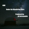 Under the Wandering Stars