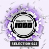 Trance Top 1000 Selection, Vol. 42